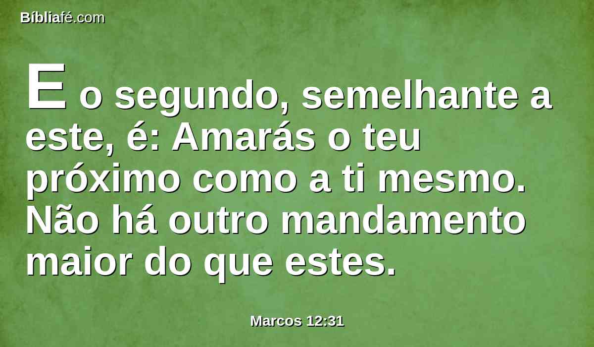 E o segundo, semelhante a este, é: Amarás o teu próximo como a ti mesmo. Não há outro mandamento maior do que estes.