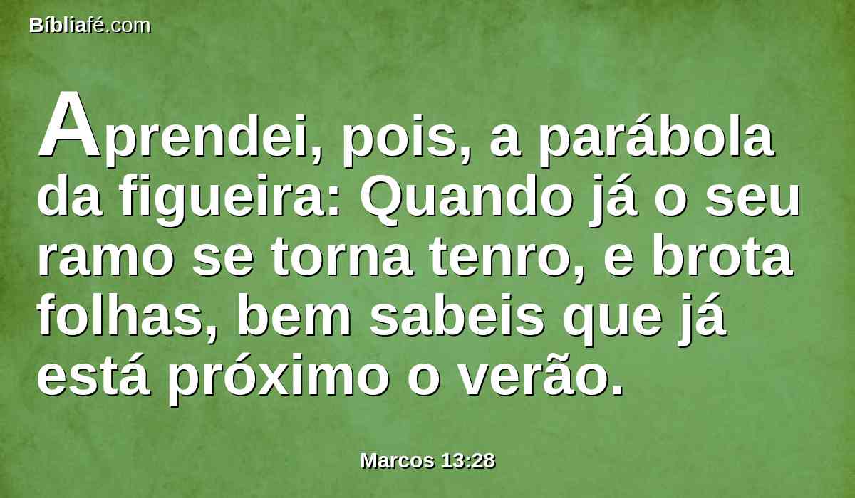 Aprendei, pois, a parábola da figueira: Quando já o seu ramo se torna tenro, e brota folhas, bem sabeis que já está próximo o verão.