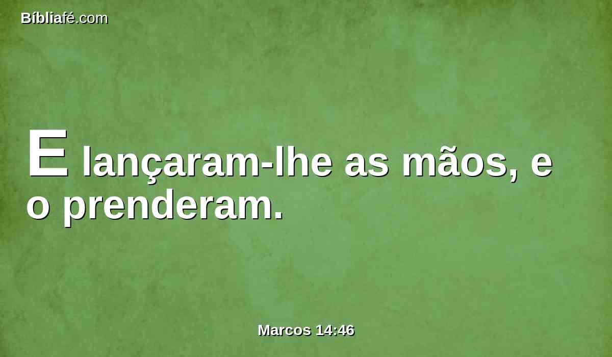 E lançaram-lhe as mãos, e o prenderam.