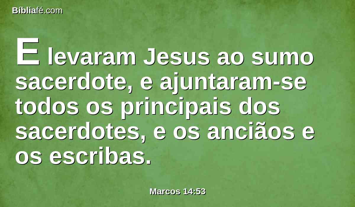 E levaram Jesus ao sumo sacerdote, e ajuntaram-se todos os principais dos sacerdotes, e os anciãos e os escribas.