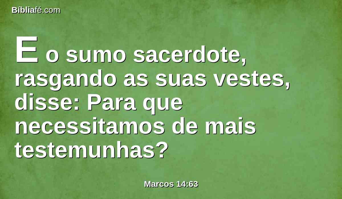 E o sumo sacerdote, rasgando as suas vestes, disse: Para que necessitamos de mais testemunhas?