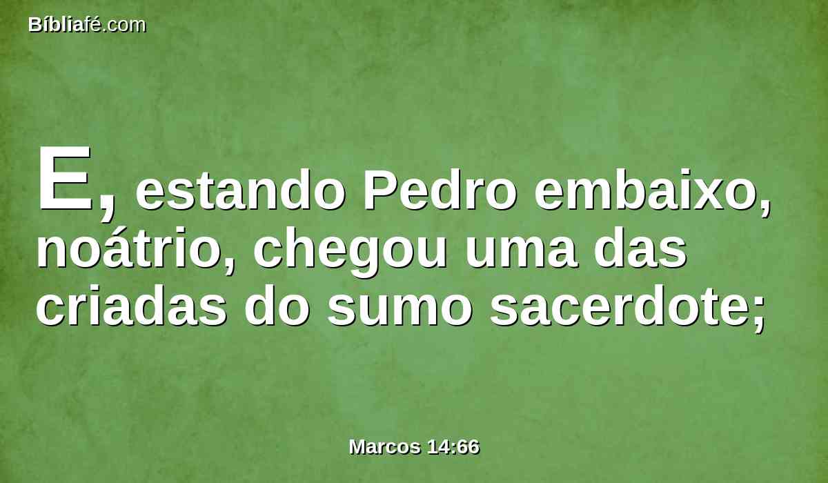 E, estando Pedro embaixo, noátrio, chegou uma das criadas do sumo sacerdote;
