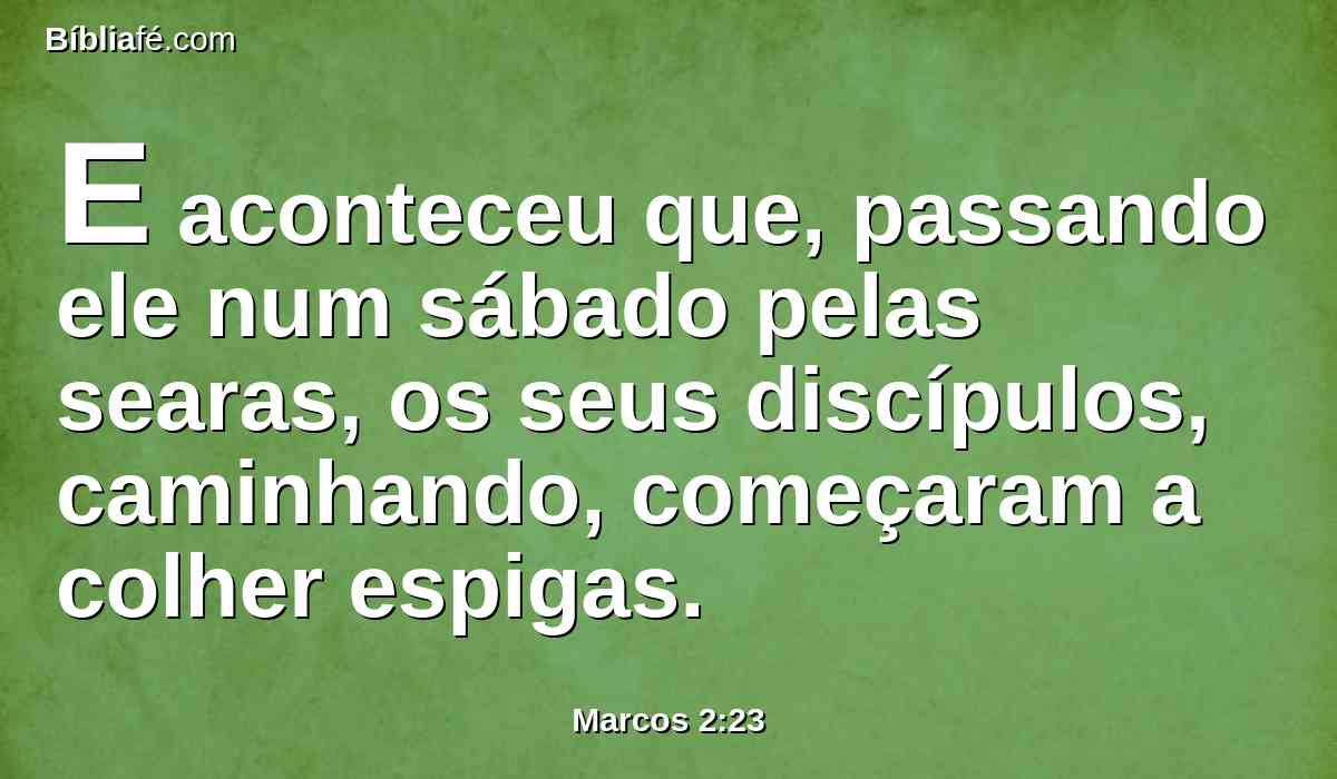 E aconteceu que, passando ele num sábado pelas searas, os seus discípulos, caminhando, começaram a colher espigas.