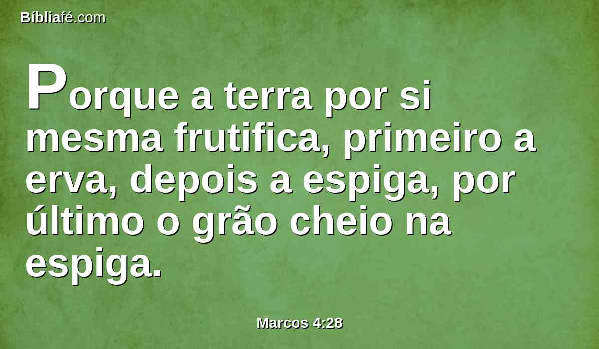 Porque a terra por si mesma frutifica, primeiro a erva, depois a espiga, por último o grão cheio na espiga.