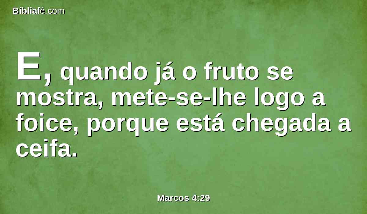 E, quando já o fruto se mostra, mete-se-lhe logo a foice, porque está chegada a ceifa.