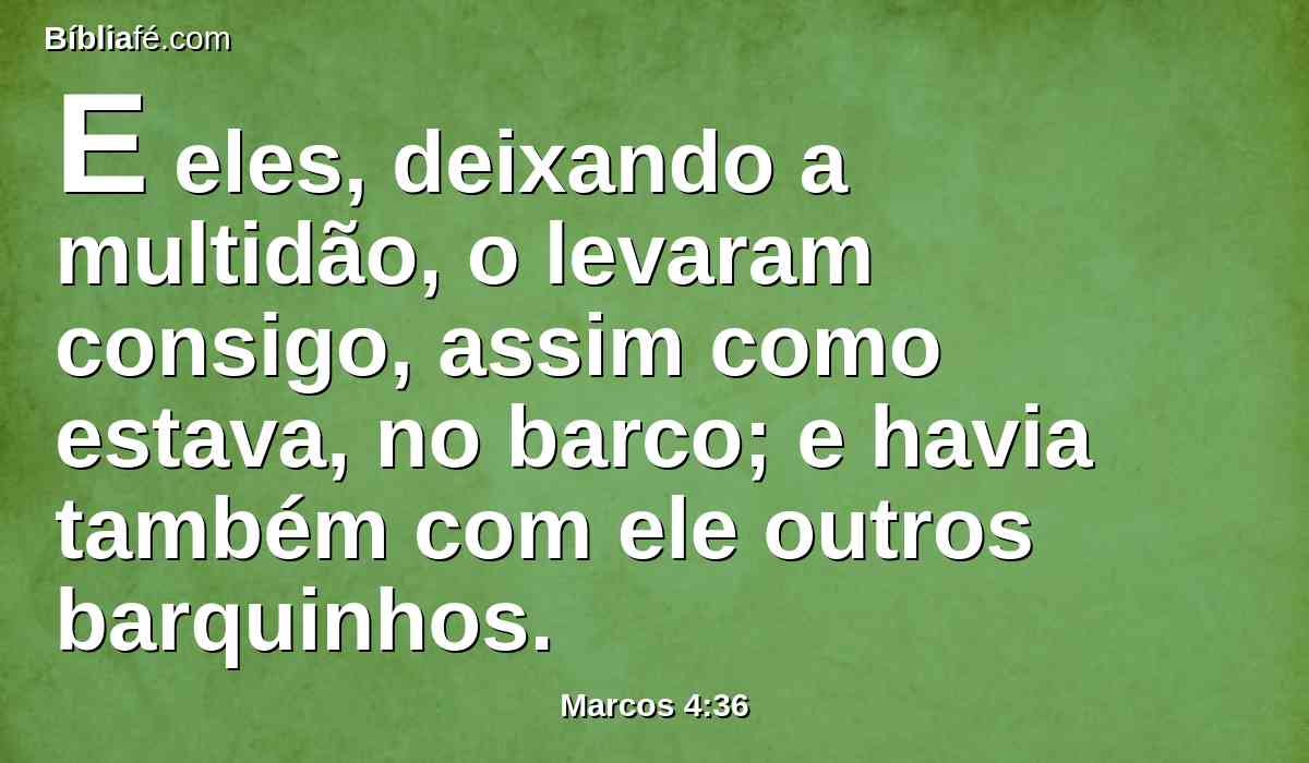 E eles, deixando a multidão, o levaram consigo, assim como estava, no barco; e havia também com ele outros barquinhos.