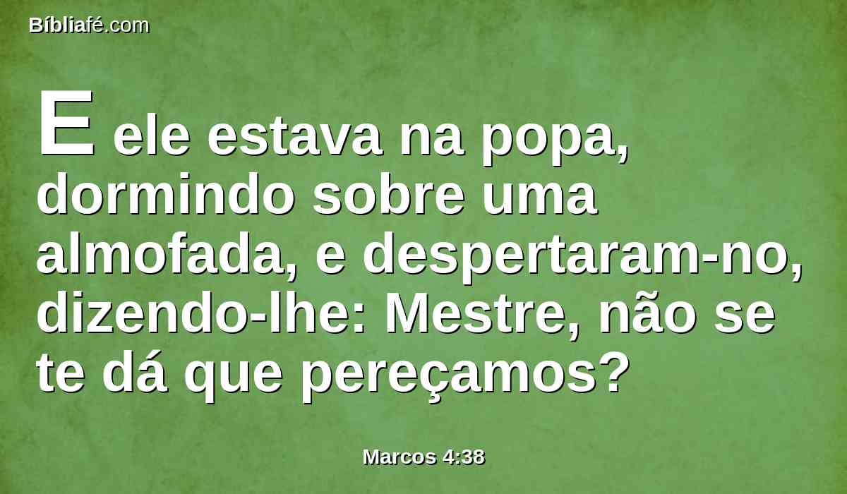 E ele estava na popa, dormindo sobre uma almofada, e despertaram-no, dizendo-lhe: Mestre, não se te dá que pereçamos?