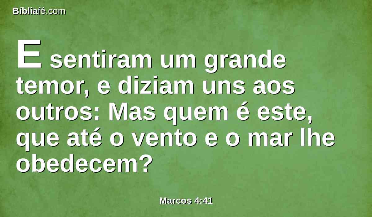 E sentiram um grande temor, e diziam uns aos outros: Mas quem é este, que até o vento e o mar lhe obedecem?