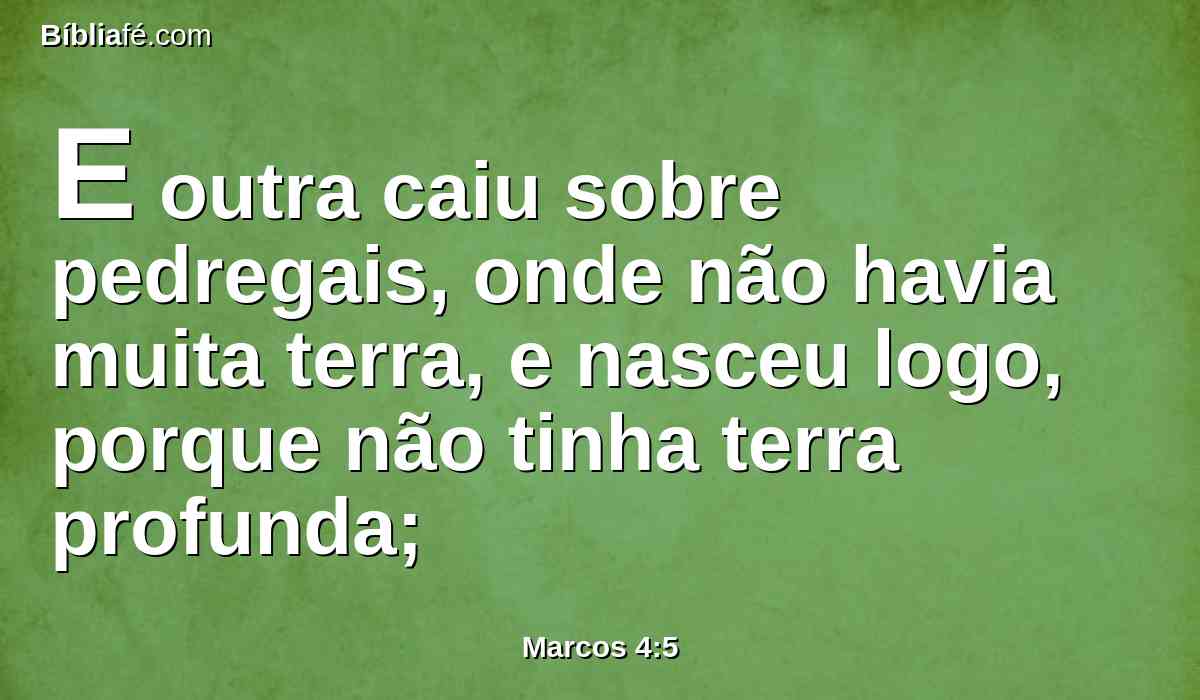 E outra caiu sobre pedregais, onde não havia muita terra, e nasceu logo, porque não tinha terra profunda;