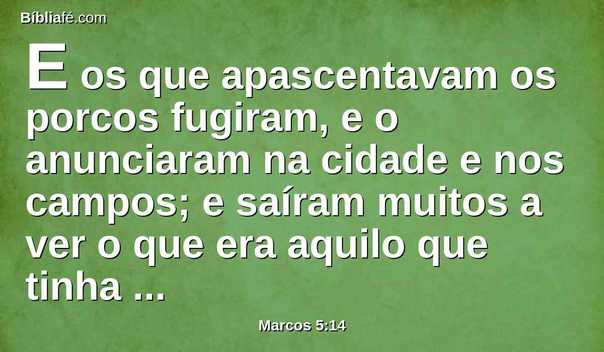 E os que apascentavam os porcos fugiram, e o anunciaram na cidade e nos campos; e saíram muitos a ver o que era aquilo que tinha acontecido.