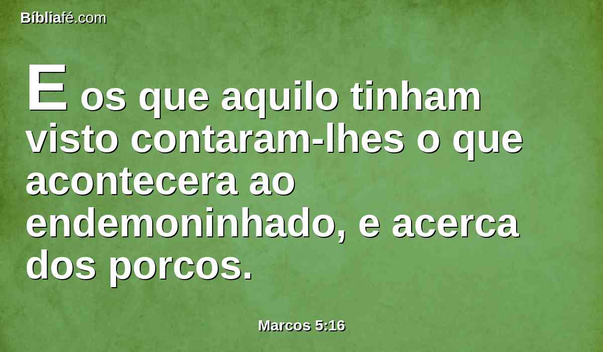 E os que aquilo tinham visto contaram-lhes o que acontecera ao endemoninhado, e acerca dos porcos.