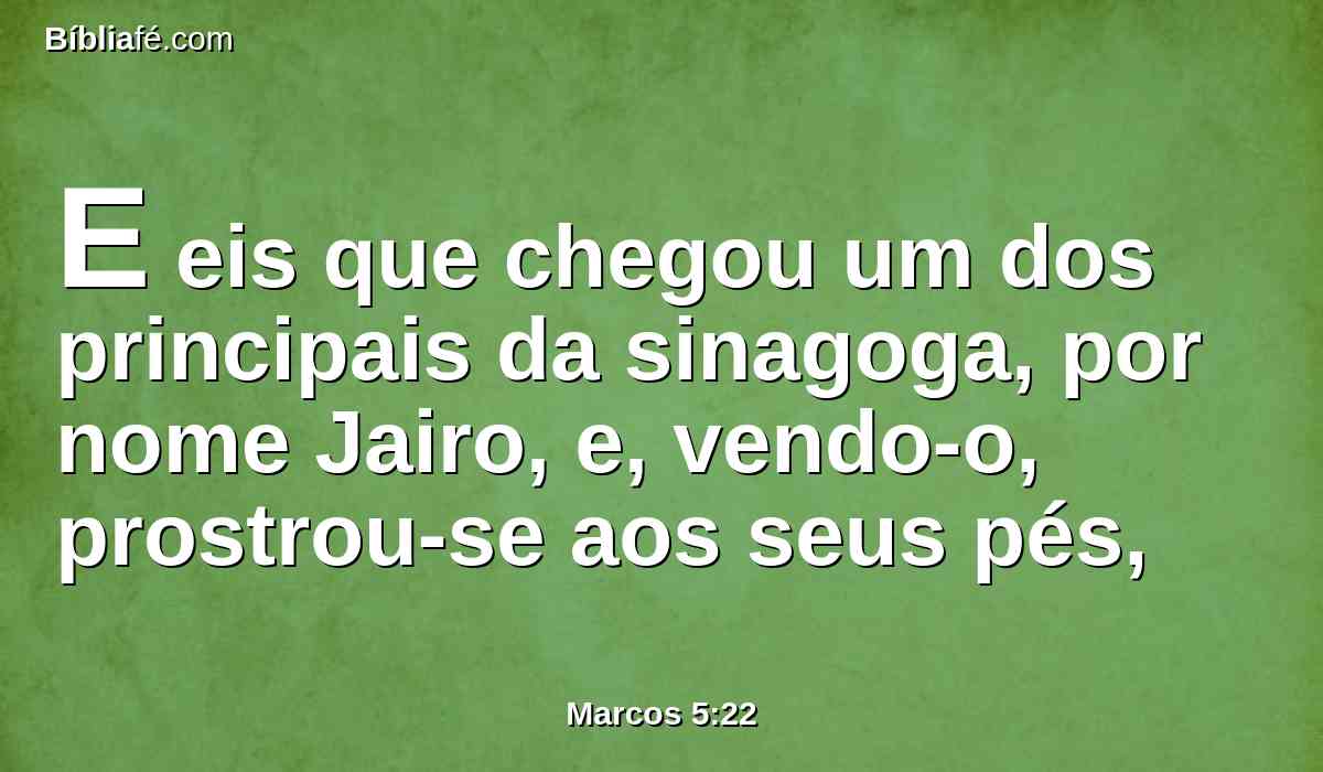 E eis que chegou um dos principais da sinagoga, por nome Jairo, e, vendo-o, prostrou-se aos seus pés,