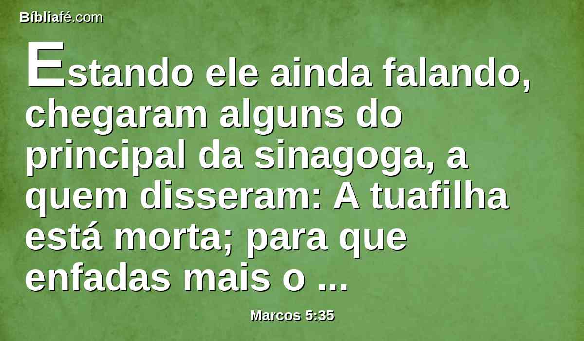 Estando ele ainda falando, chegaram alguns do principal da sinagoga, a quem disseram: A tuafilha está morta; para que enfadas mais o Mestre?