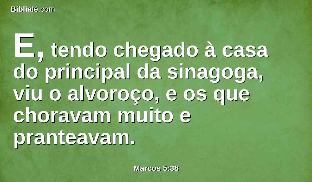 E, tendo chegado à casa do principal da sinagoga, viu o alvoroço, e os que choravam muito e pranteavam.