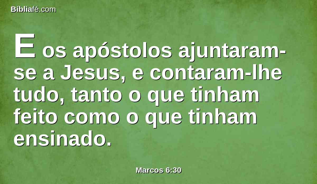 E os apóstolos ajuntaram-se a Jesus, e contaram-lhe tudo, tanto o que tinham feito como o que tinham ensinado.