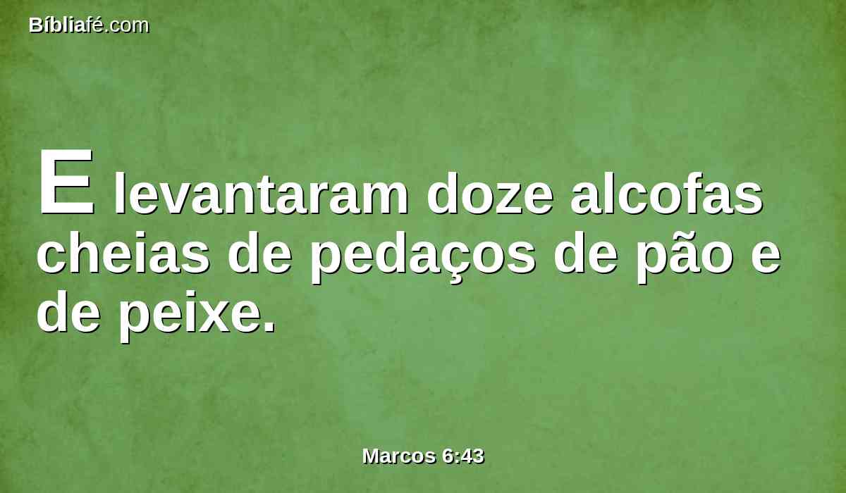 E levantaram doze alcofas cheias de pedaços de pão e de peixe.