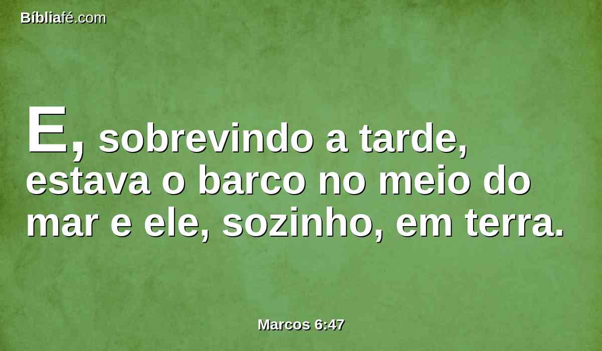 E, sobrevindo a tarde, estava o barco no meio do mar e ele, sozinho, em terra.