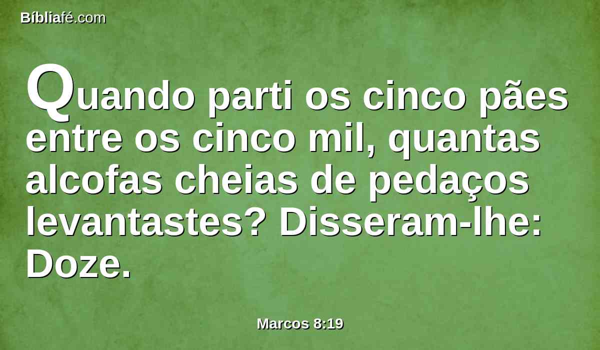 Quando parti os cinco pães entre os cinco mil, quantas alcofas cheias de pedaços levantastes? Disseram-lhe: Doze.