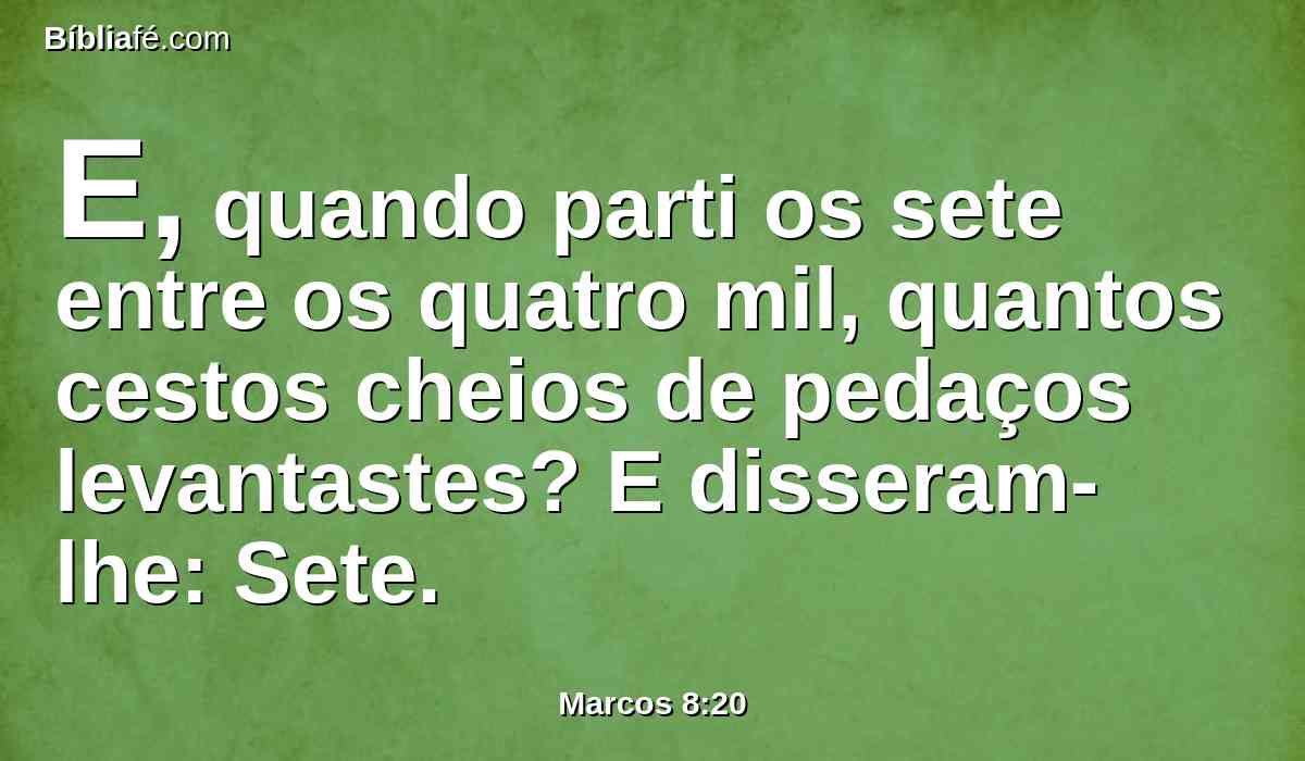 E, quando parti os sete entre os quatro mil, quantos cestos cheios de pedaços levantastes? E disseram-lhe: Sete.