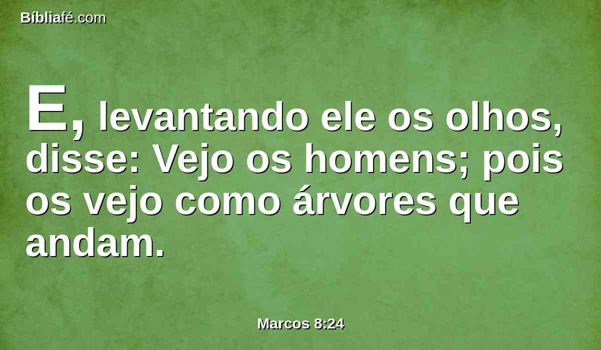 E, levantando ele os olhos, disse: Vejo os homens; pois os vejo como árvores que andam.