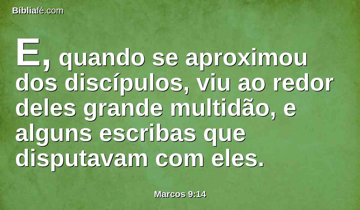 E, quando se aproximou dos discípulos, viu ao redor deles grande multidão, e alguns escribas que disputavam com eles.