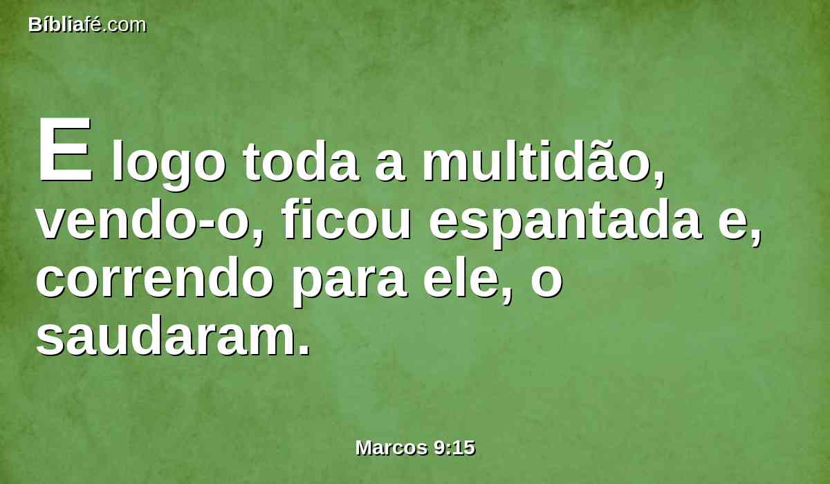 E logo toda a multidão, vendo-o, ficou espantada e, correndo para ele, o saudaram.