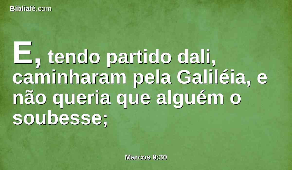 E, tendo partido dali, caminharam pela Galiléia, e não queria que alguém o soubesse;
