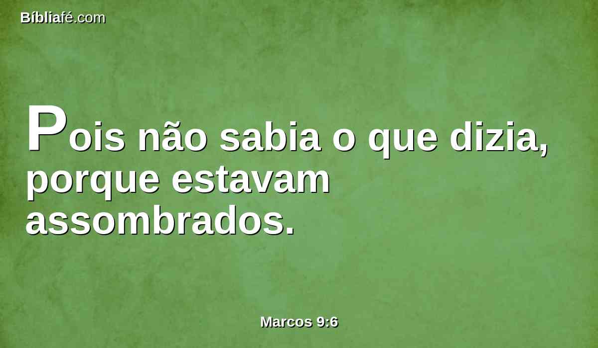 Pois não sabia o que dizia, porque estavam assombrados.