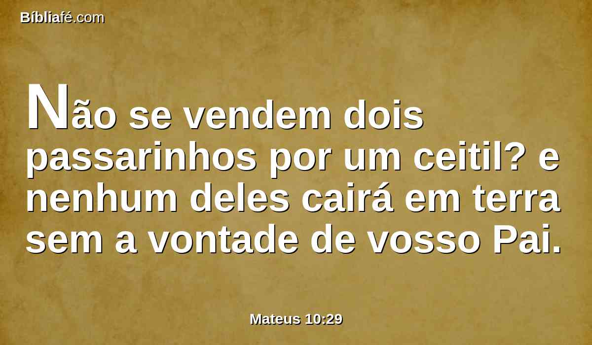 Não se vendem dois passarinhos por um ceitil? e nenhum deles cairá em terra sem a vontade de vosso Pai.