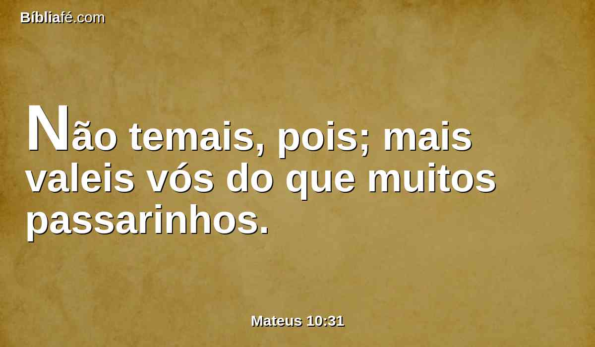 Não temais, pois; mais valeis vós do que muitos passarinhos.