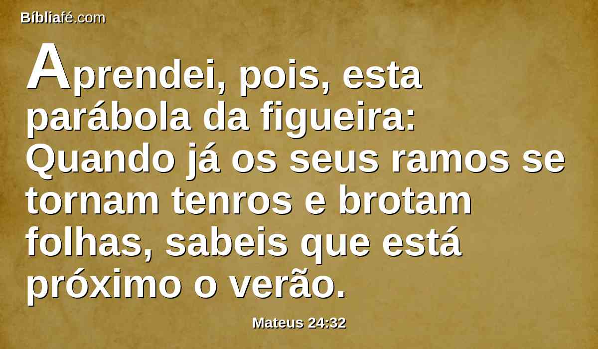 Aprendei, pois, esta parábola da figueira: Quando já os seus ramos se tornam tenros e brotam folhas, sabeis que está próximo o verão.