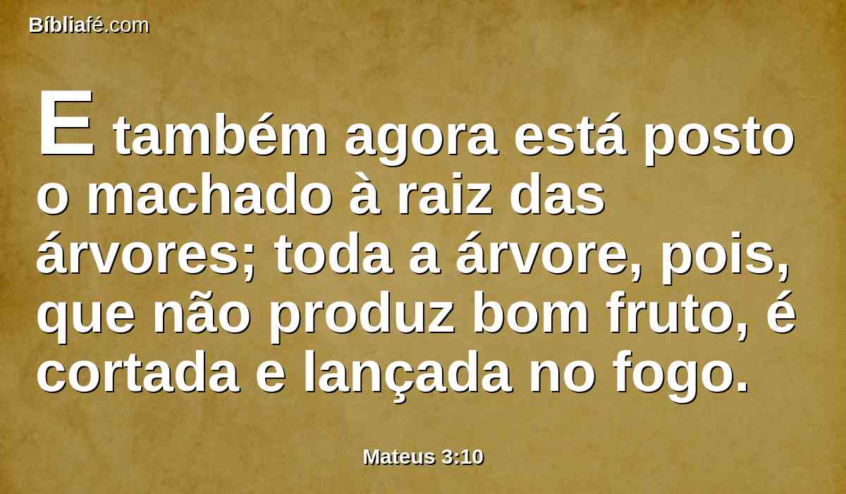 E também agora está posto o machado à raiz das árvores; toda a árvore, pois, que não produz bom fruto, é cortada e lançada no fogo.