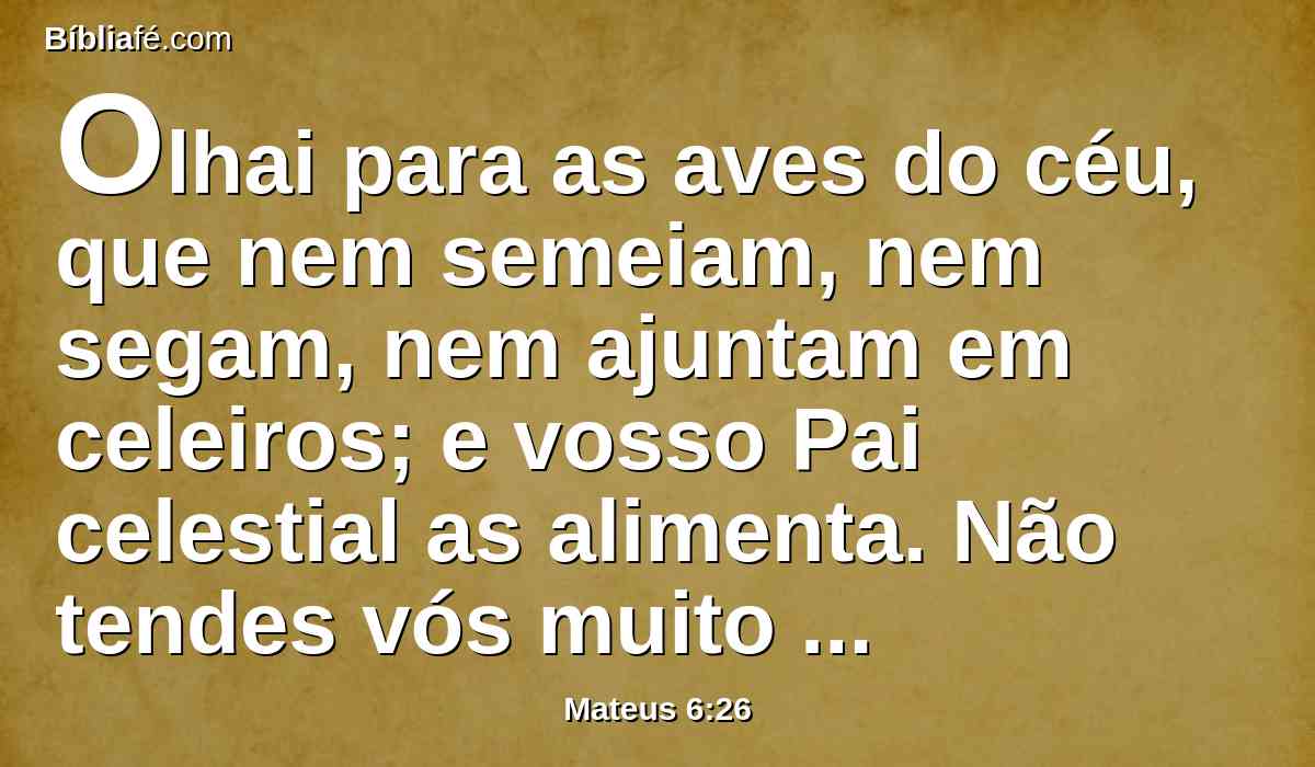 Olhai para as aves do céu, que nem semeiam, nem segam, nem ajuntam em celeiros; e vosso Pai celestial as alimenta. Não tendes vós muito mais valor do que elas?