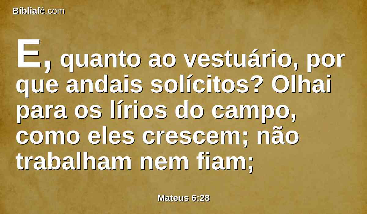 E, quanto ao vestuário, por que andais solícitos? Olhai para os lírios do campo, como eles crescem; não trabalham nem fiam;