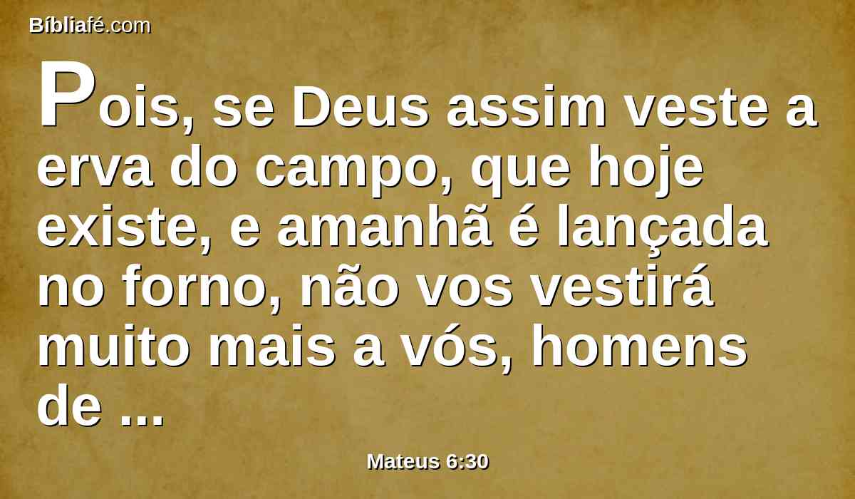 Pois, se Deus assim veste a erva do campo, que hoje existe, e amanhã é lançada no forno, não vos vestirá muito mais a vós, homens de pouca fé?