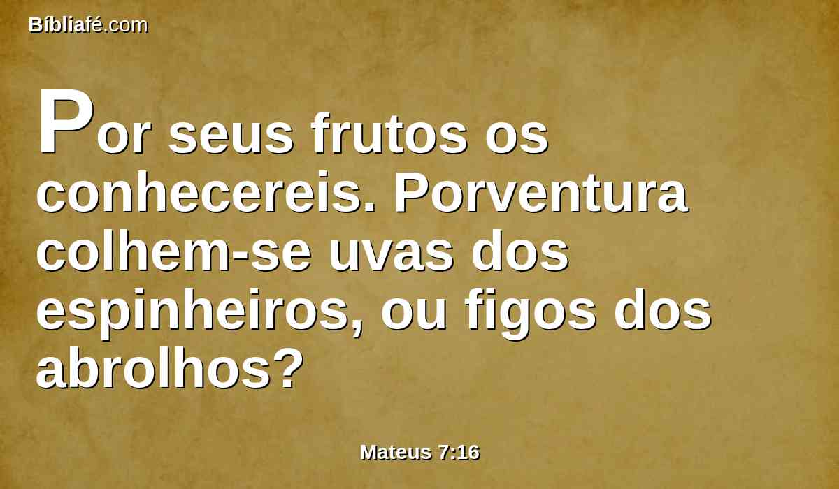 Por seus frutos os conhecereis. Porventura colhem-se uvas dos espinheiros, ou figos dos abrolhos?