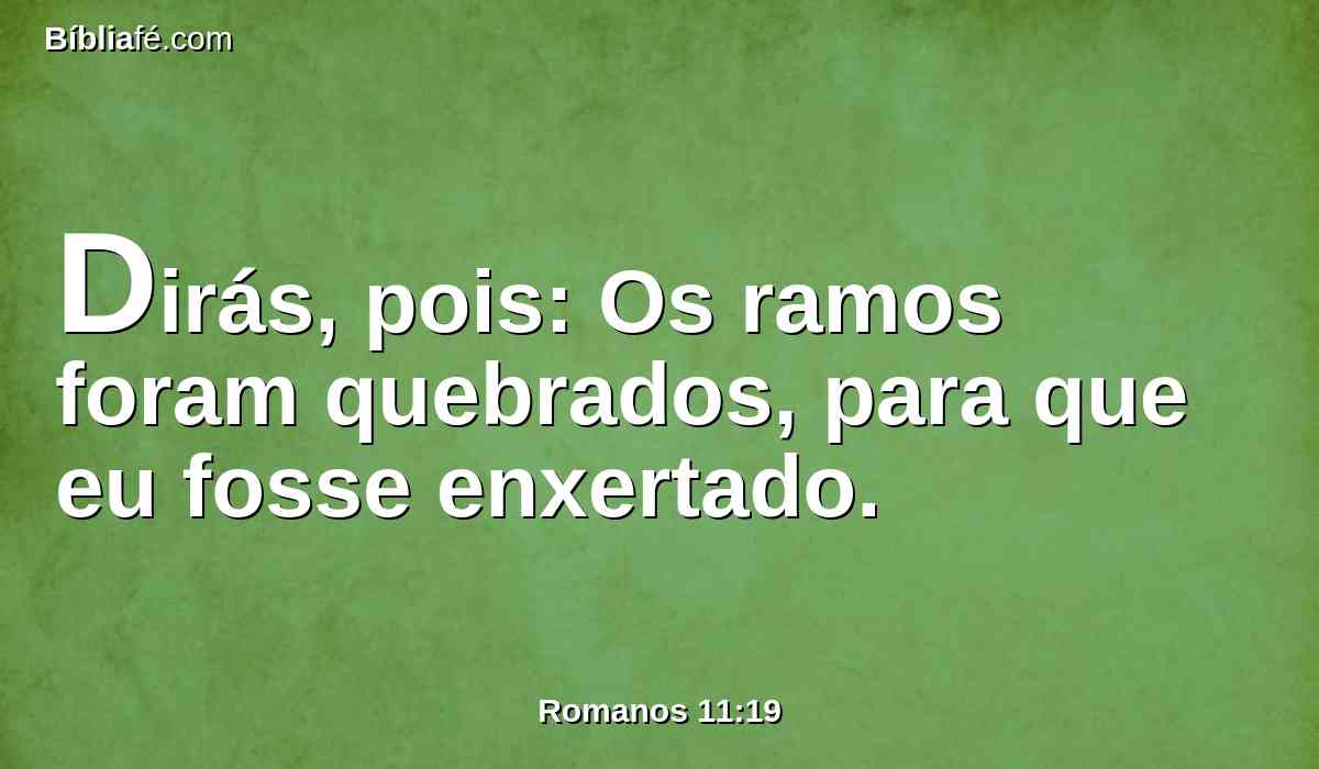 Dirás, pois: Os ramos foram quebrados, para que eu fosse enxertado.