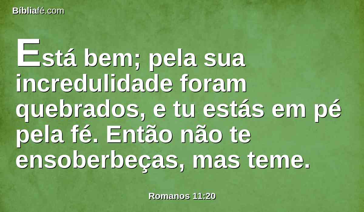 Está bem; pela sua incredulidade foram quebrados, e tu estás em pé pela fé. Então não te ensoberbeças, mas teme.