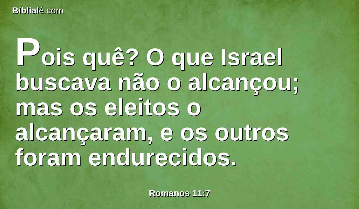 Pois quê? O que Israel buscava não o alcançou; mas os eleitos o alcançaram, e os outros foram endurecidos.