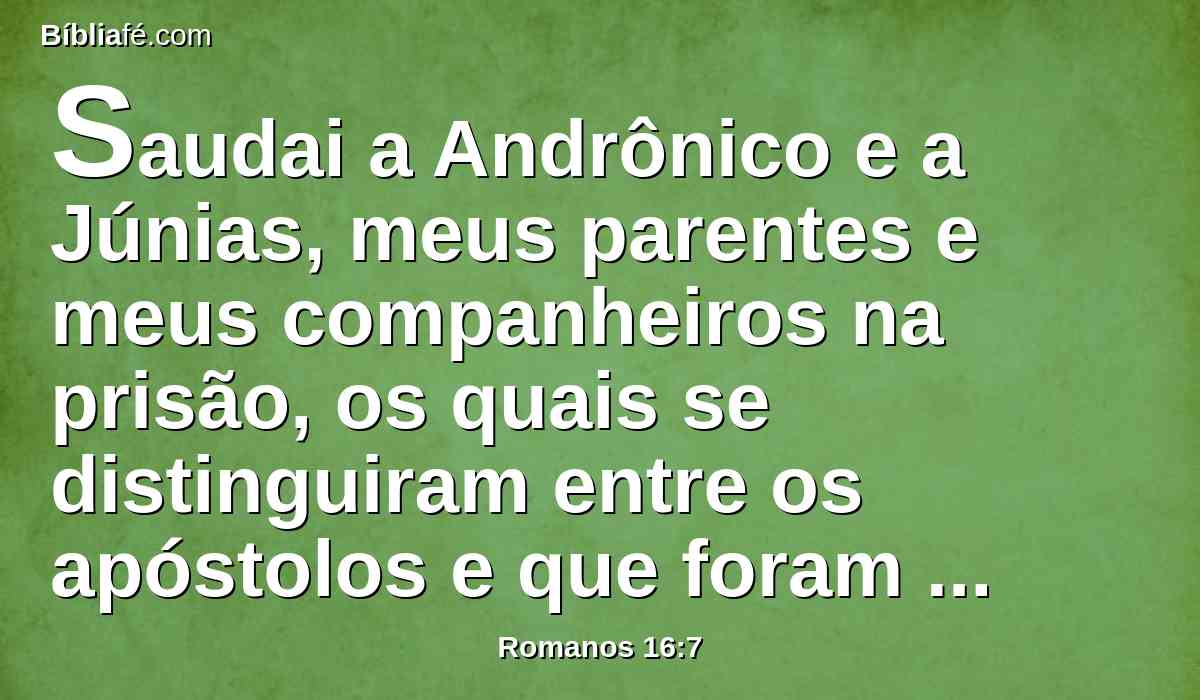 Saudai a Andrônico e a Júnias, meus parentes e meus companheiros na prisão, os quais se distinguiram entre os apóstolos e que foram antes de mim em Cristo.