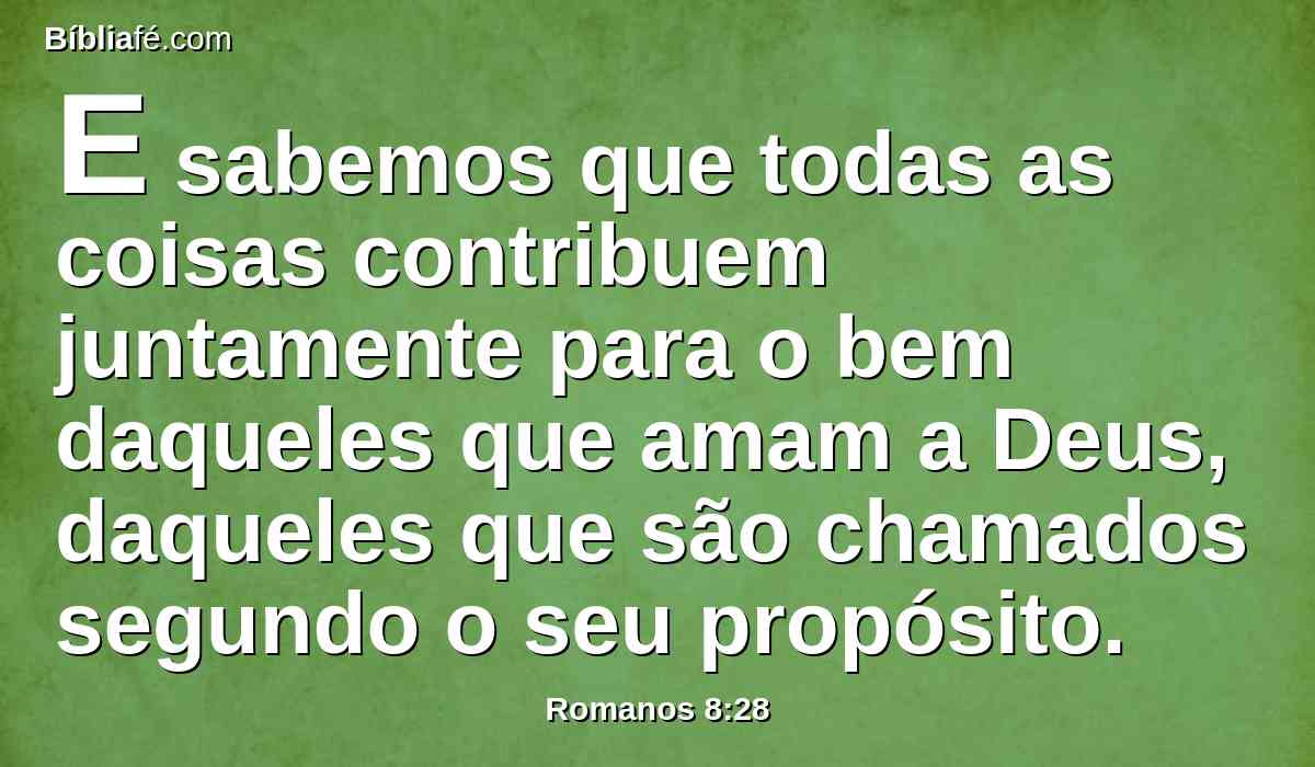 E sabemos que todas as coisas contribuem juntamente para o bem daqueles que amam a Deus, daqueles que são chamados segundo o seu propósito.