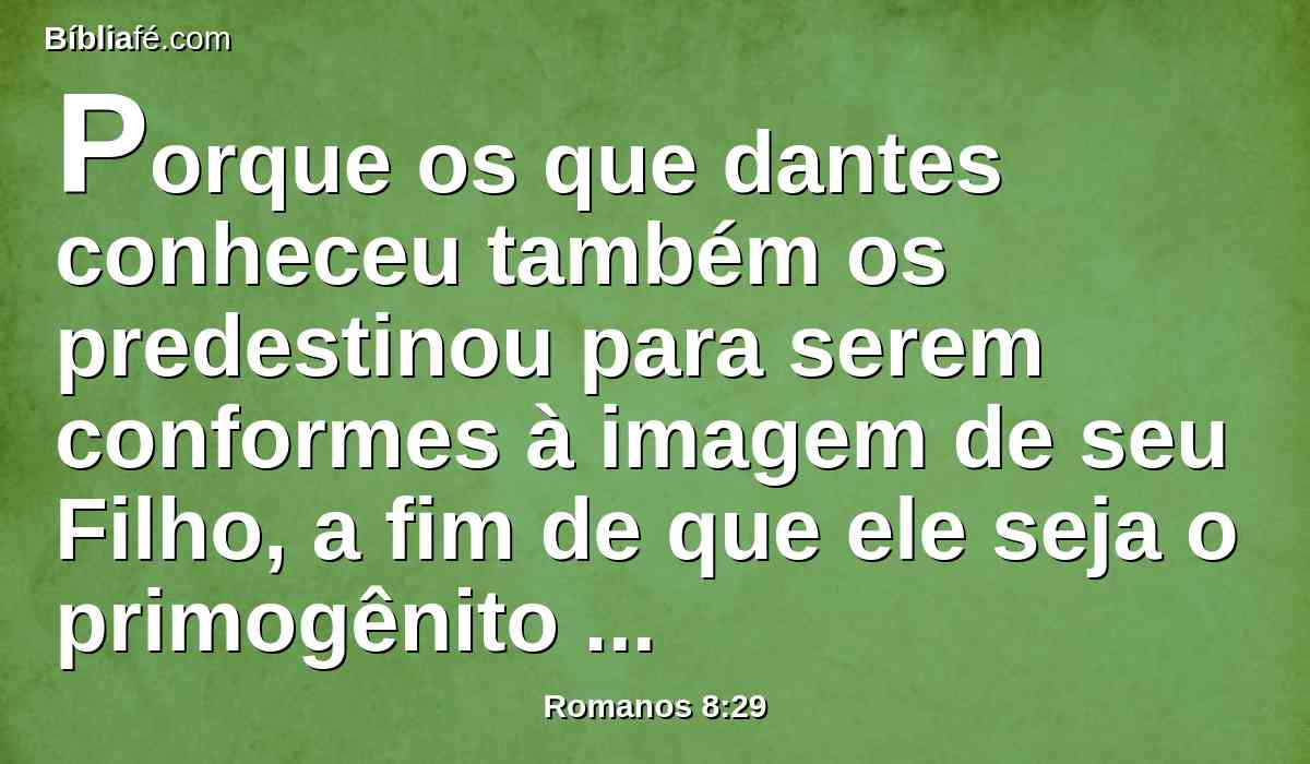 Porque os que dantes conheceu também os predestinou para serem conformes à imagem de seu Filho, a fim de que ele seja o primogênito entre muitos irmãos.