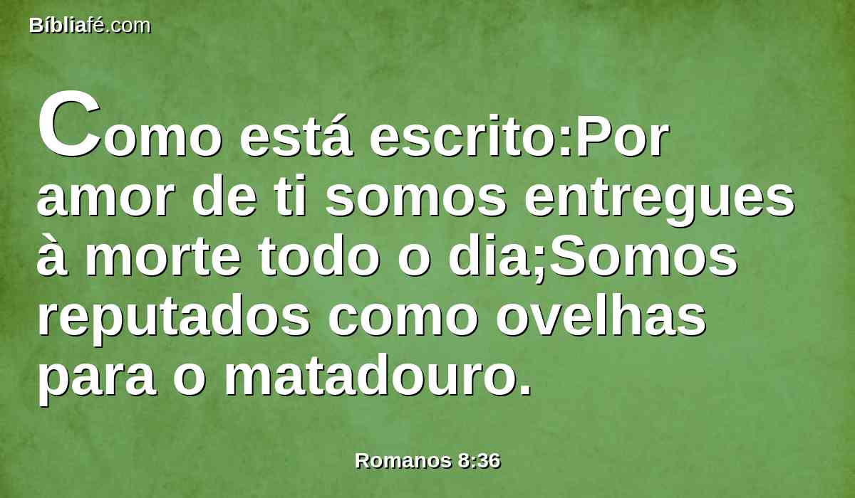 Como está escrito:Por amor de ti somos entregues à morte todo o dia;Somos reputados como ovelhas para o matadouro.