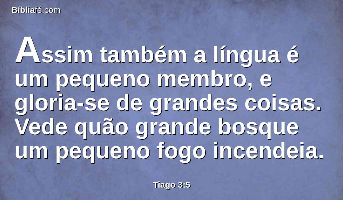 Assim também a língua é um pequeno membro, e gloria-se de grandes coisas. Vede quão grande bosque um pequeno fogo incendeia.