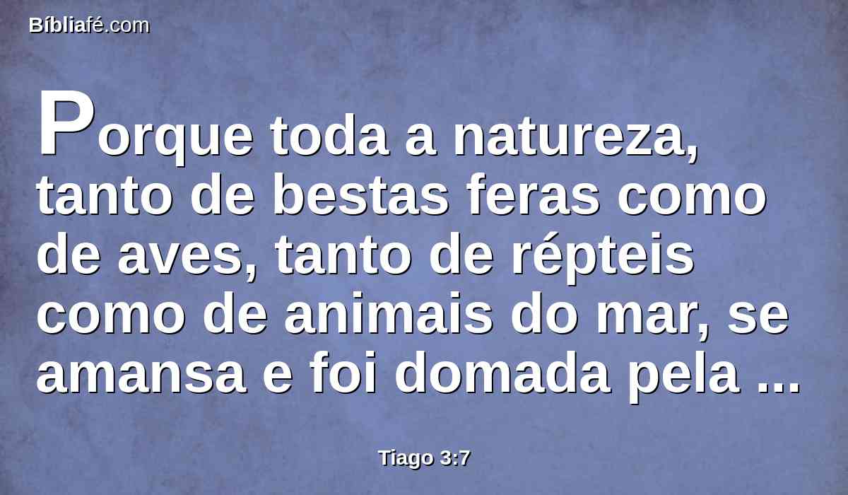 Porque toda a natureza, tanto de bestas feras como de aves, tanto de répteis como de animais do mar, se amansa e foi domada pela natureza humana;