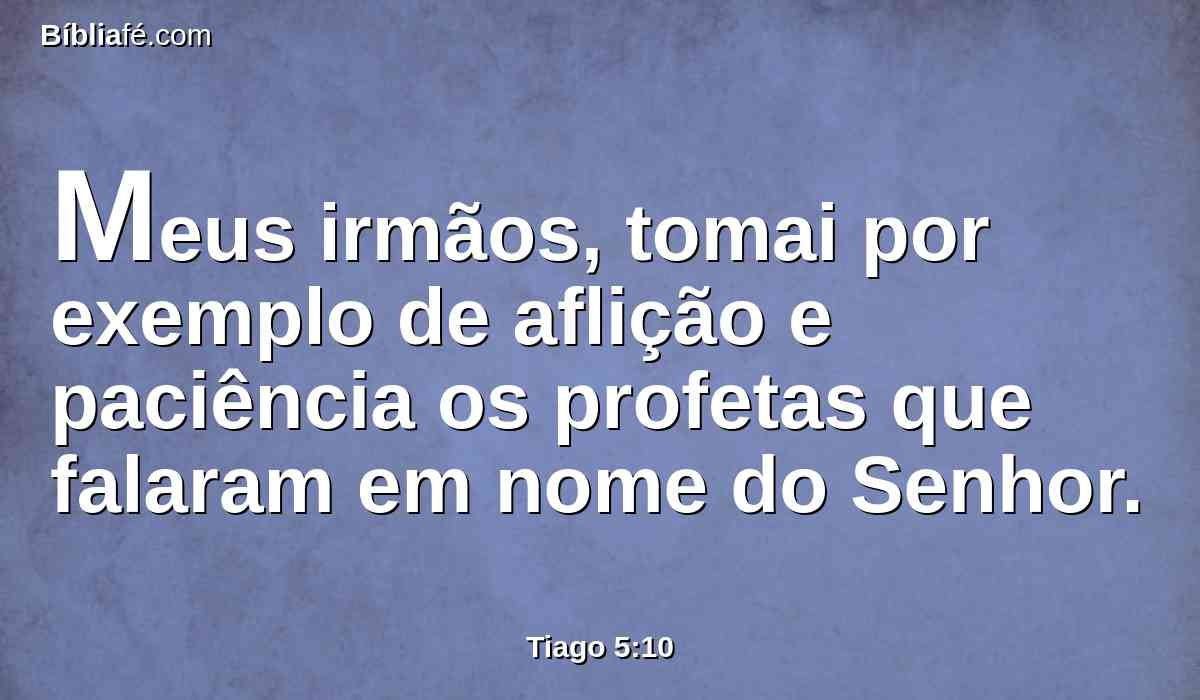 Meus irmãos, tomai por exemplo de aflição e paciência os profetas que falaram em nome do Senhor.
