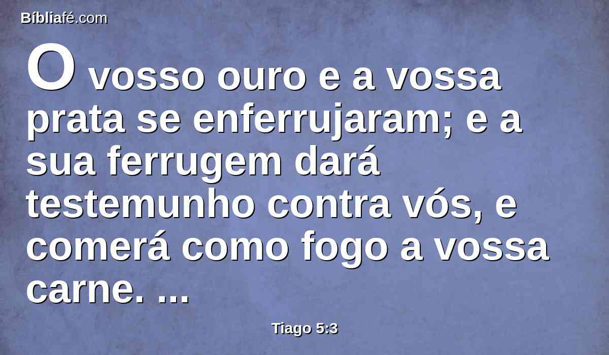 O vosso ouro e a vossa prata se enferrujaram; e a sua ferrugem dará testemunho contra vós, e comerá como fogo a vossa carne. Entesourastes para os últimos dias.